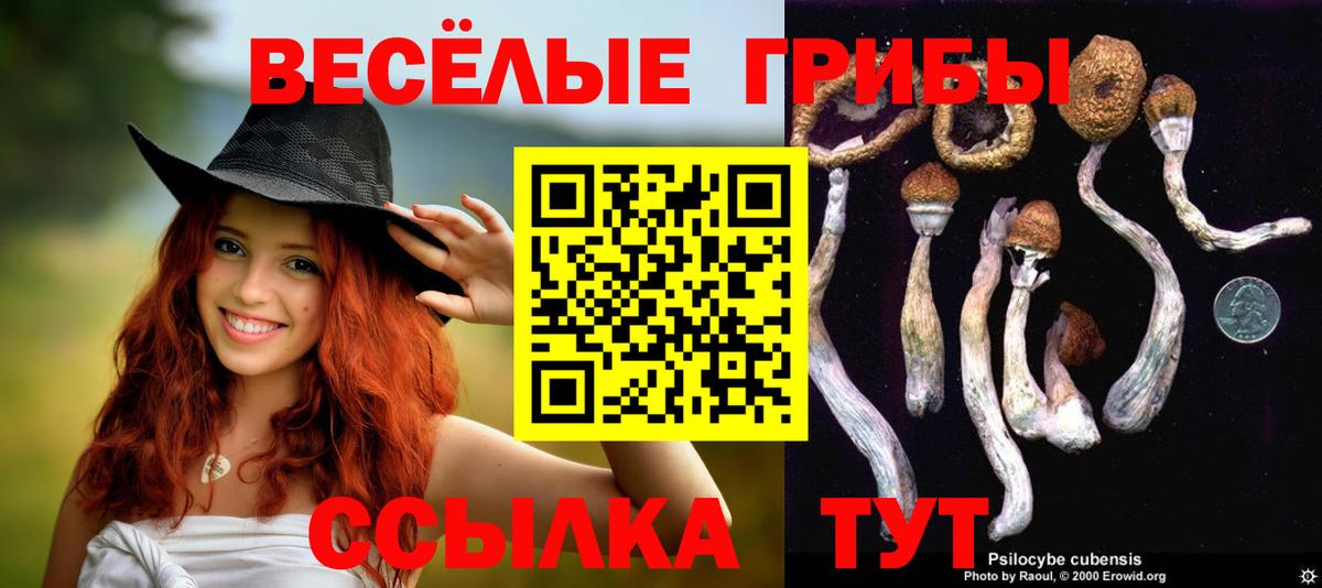 Усть-Илимск  Галлюциногенные грибы Psilocybine cubensis  Вход с VPN 
